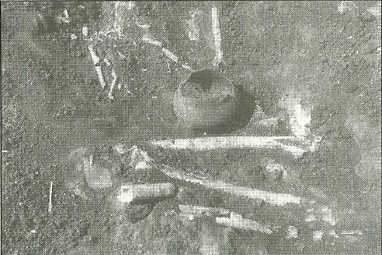 Pomerne neporušená kostra (hrob III.)